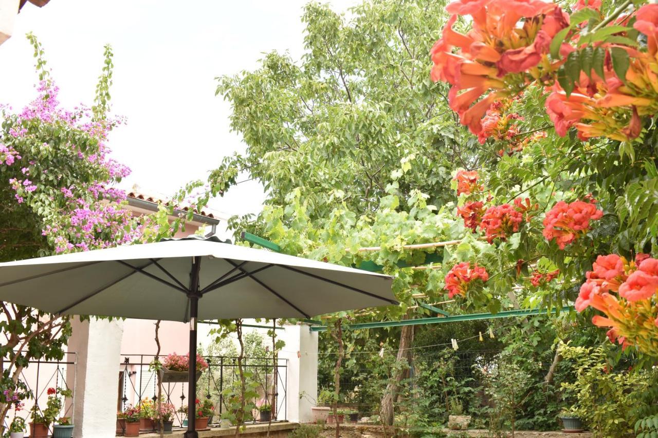 Holiday House Letizia 프레멘투라 외부 사진
